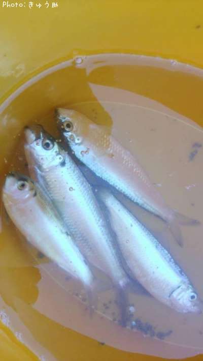 ���Υ���