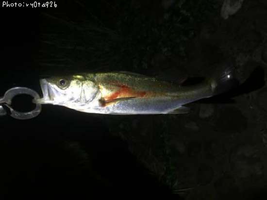 �����Х�