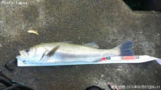 �����Х�