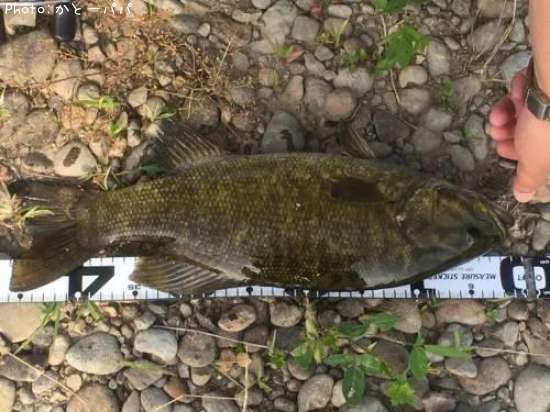 �֥�å��Х�