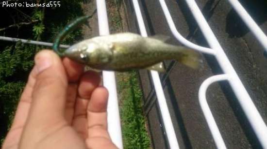 �֥�å��Х�