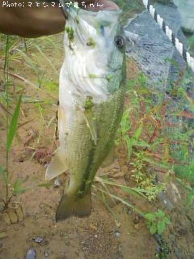 �֥�å��Х�