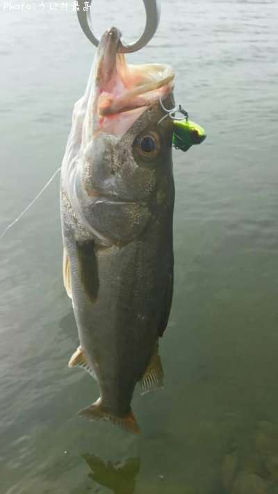 �����Х�