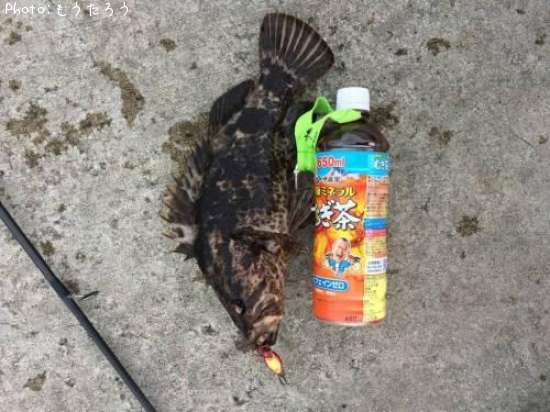 �����Υ���Х�