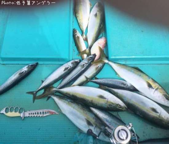 ��饵�����С����������ȥ�����