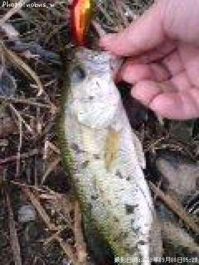 �֥�å��Х�