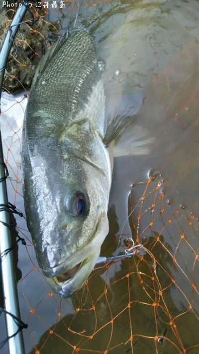 �����Х�