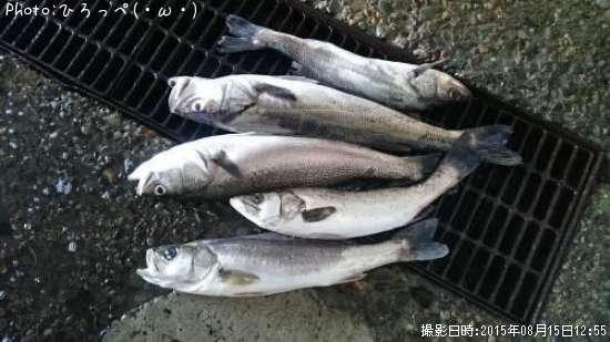 �����Х�