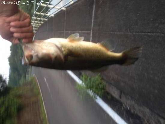 �֥�å��Х�