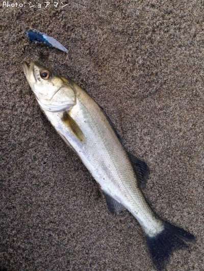 �����Х�