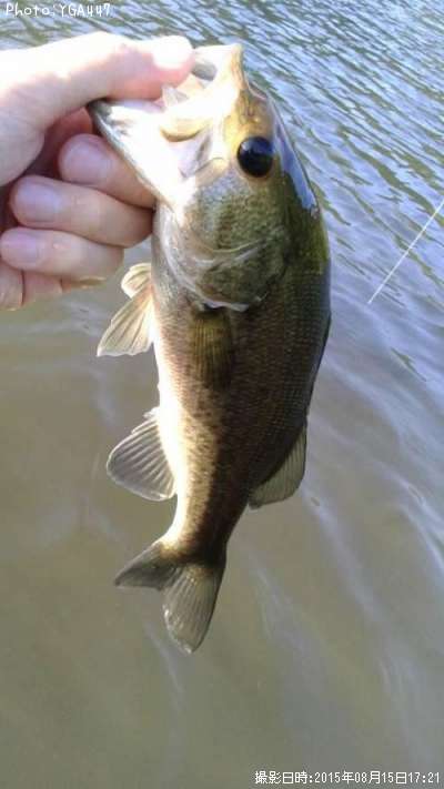 �֥�å��Х�