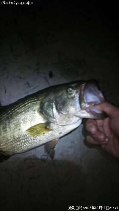 �֥�å��Х�