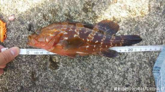 �����ϥ�