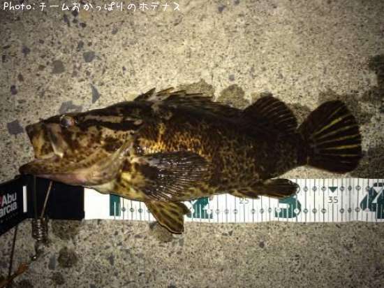 �����Υ���Х�