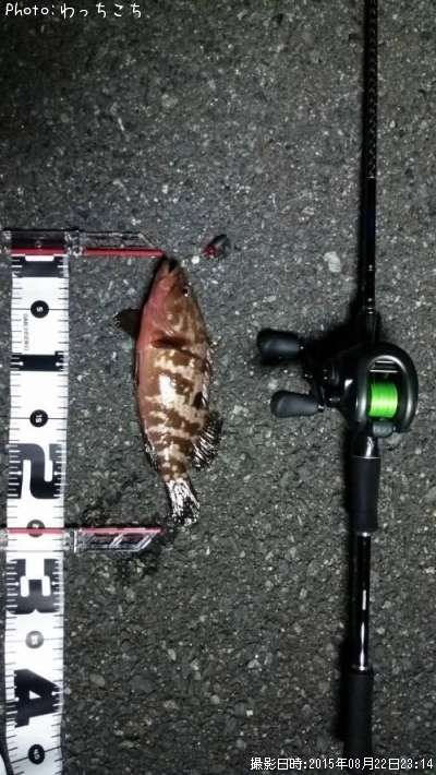 �����ϥ�