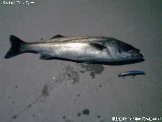 �����Х�