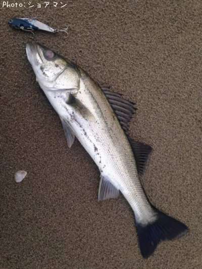 �����Х�