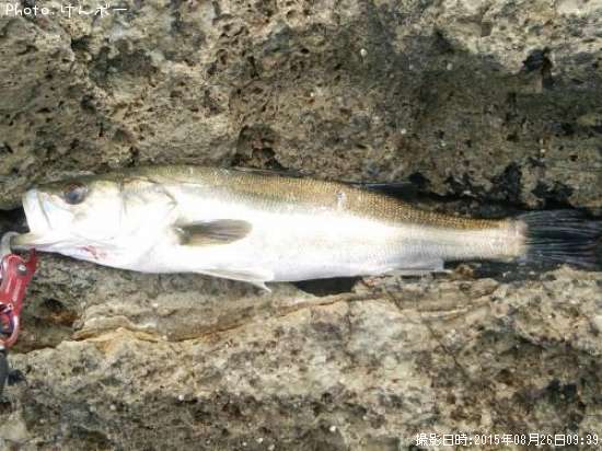 �����Х�