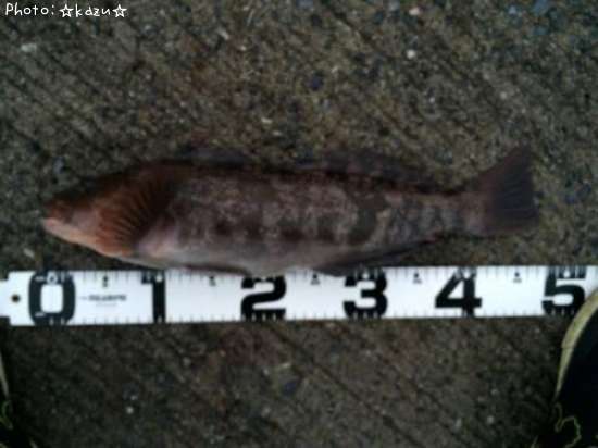 �����ʥ�