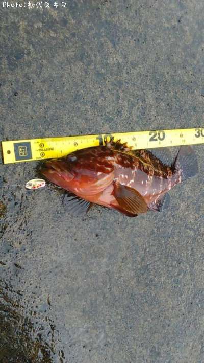 �����ϥ�