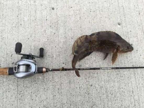 �����ʥ�