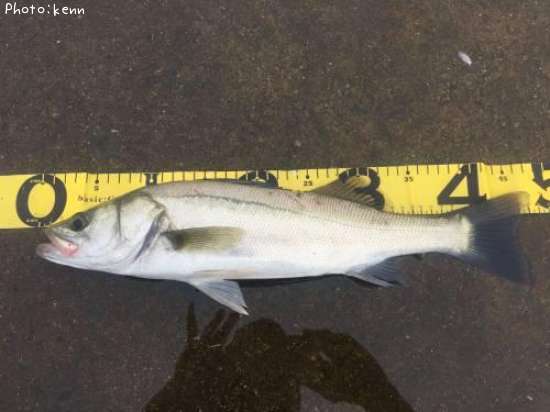 �����Х�