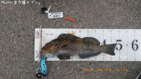 �����ʥ�