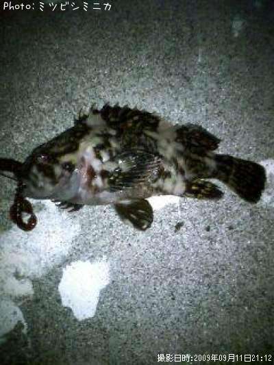 �����Υ���Х�