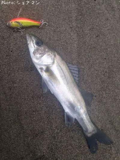 �����Х�