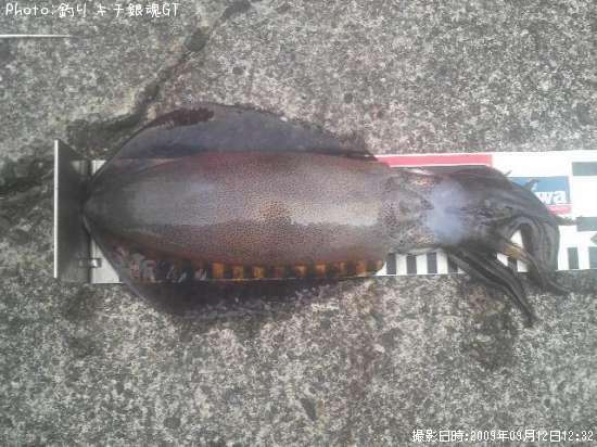 �����ꥤ��