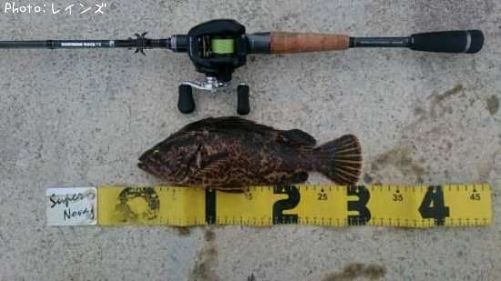 �����Υ���Х�