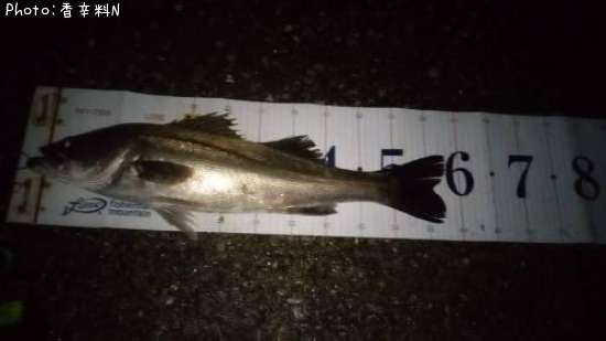 �����Х�