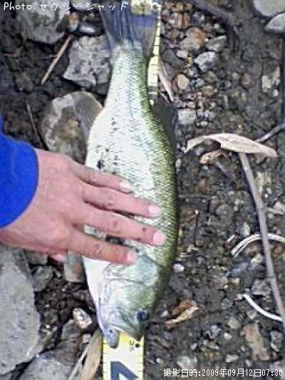 �֥�å��Х�