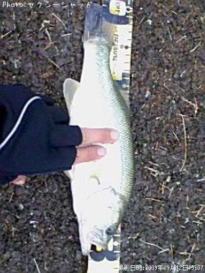 �֥�å��Х�