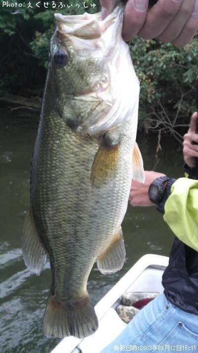 �֥�å��Х�