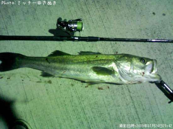 �ޥ륹����