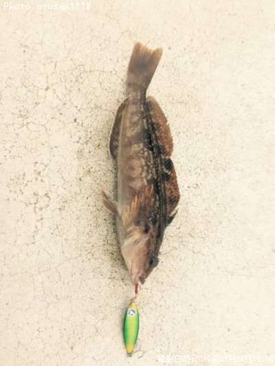 �����ʥ�