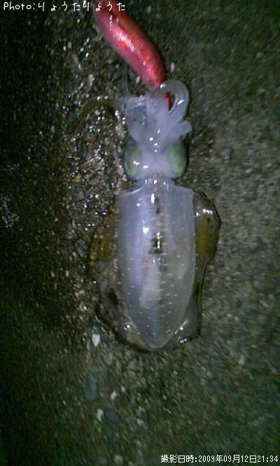 �����ꥤ��