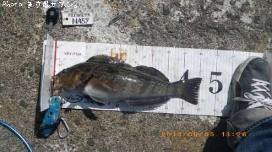 �����ʥ�