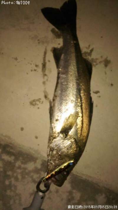 �����Х�