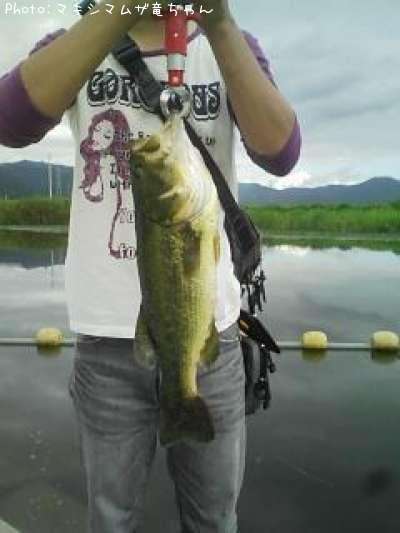 �֥�å��Х�