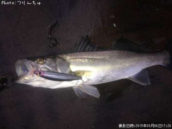 �����Х�