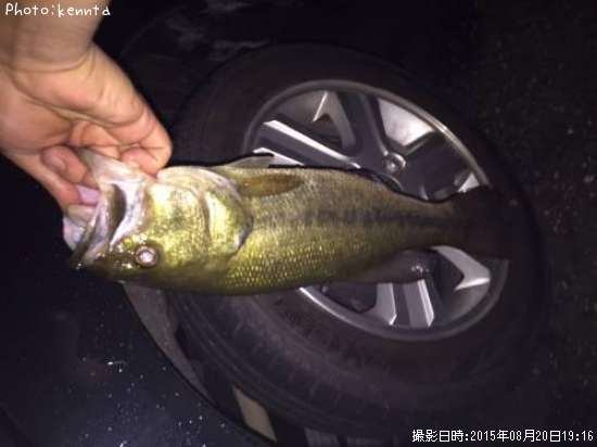 �֥�å��Х�