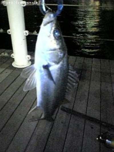 �ӣ��£���