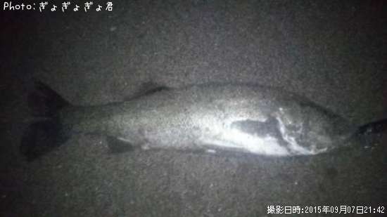 �����Х�