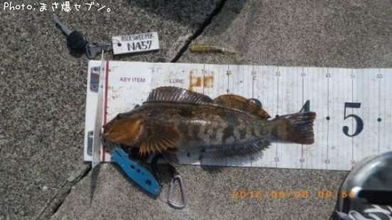 �����ʥ�