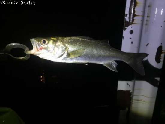 �����Х�