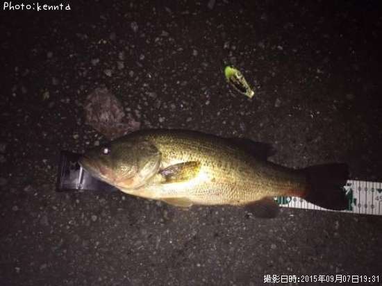 �֥�å��Х�