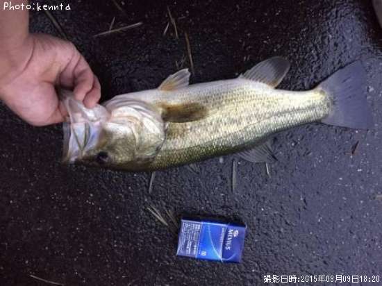 �֥�å��Х�