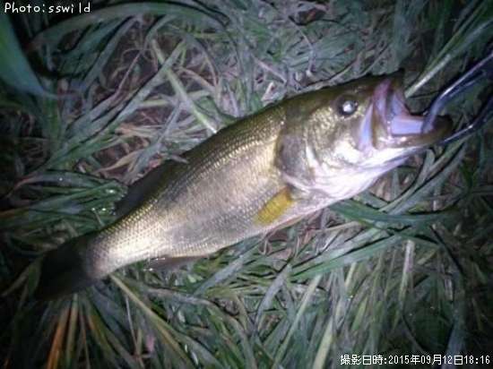 �֥�å��Х�